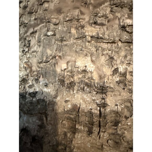 Handcrafted Birch Bark Basket With Beaded Handle & Metal Accent - Picture 6 of 6